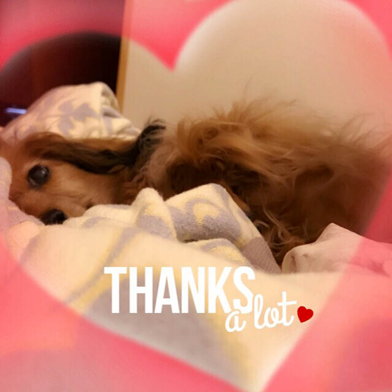 f:id:masami_takasu:20190102200835j:plain f:id:masami_takasu:20190102200835j:plain
