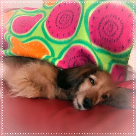 f:id:masami_takasu:20190102203053j:plain