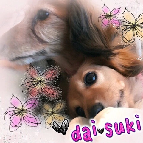 f:id:masami_takasu:20190103153836j:plain