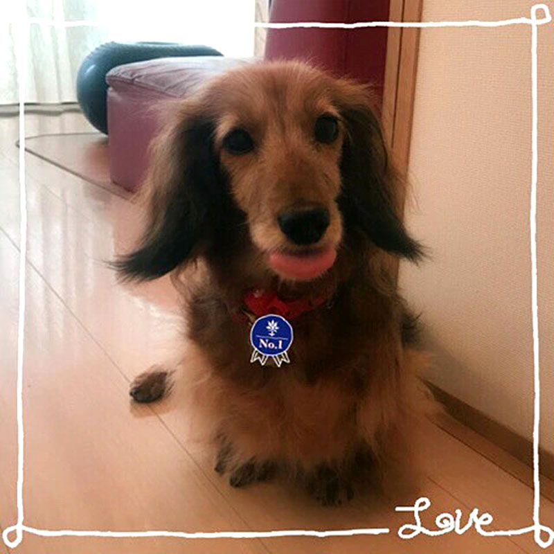 f:id:masami_takasu:20190103154455j:plain