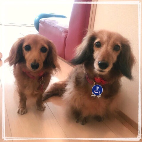 f:id:masami_takasu:20190103154758j:plain