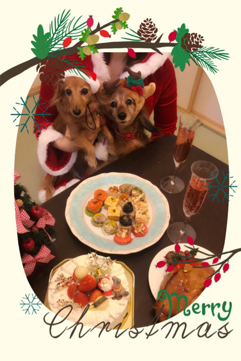 f:id:masami_takasu:20190103225656j:plain