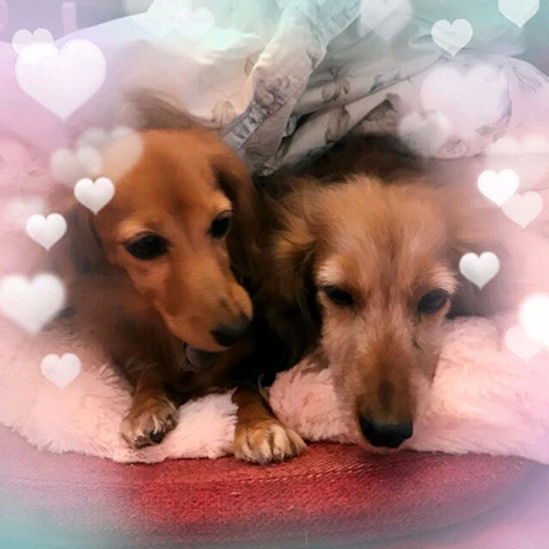 f:id:masami_takasu:20190103235637j:plain f:id:masami_takasu:20190103235637j:plain