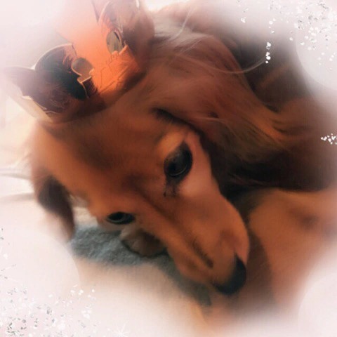 f:id:masami_takasu:20190104000223j:plain