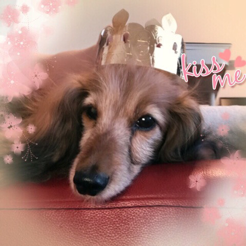 f:id:masami_takasu:20190104000317j:plain