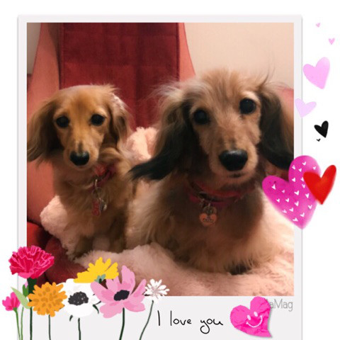 f:id:masami_takasu:20190104000424j:plain