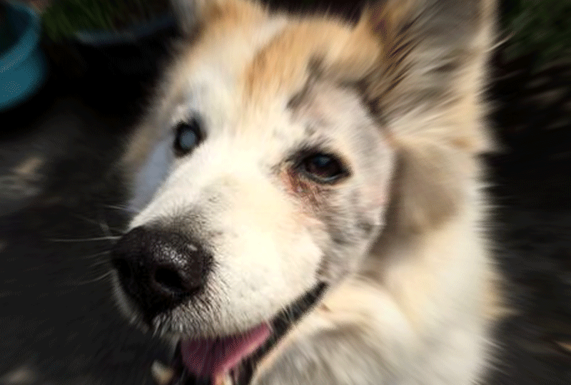 f:id:masami_takasu:20190105143521g:plain