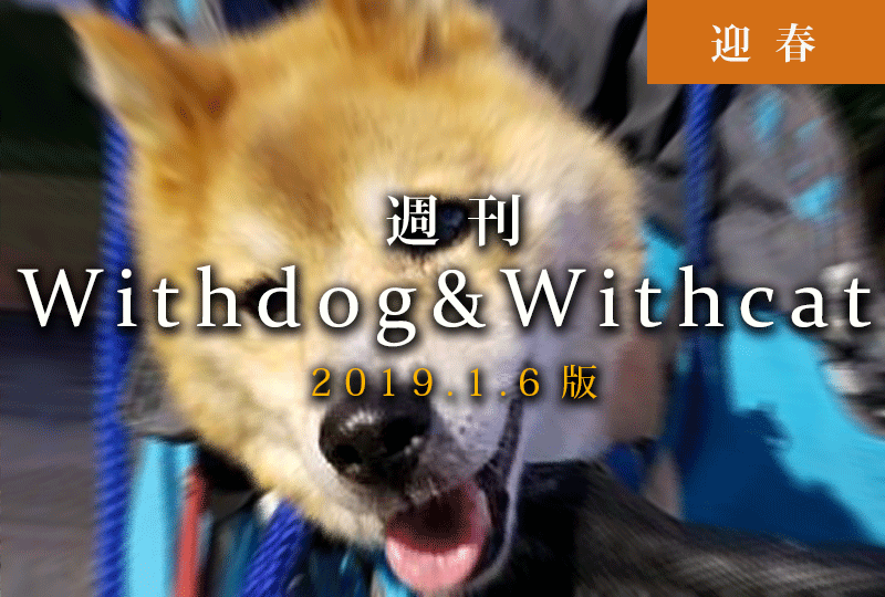 f:id:masami_takasu:20190106031532g:plain