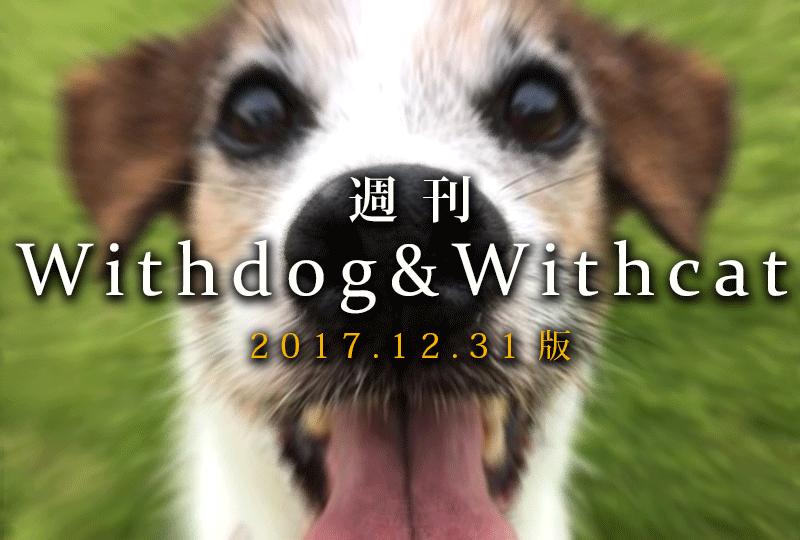 f:id:masami_takasu:20190106040813g:plain