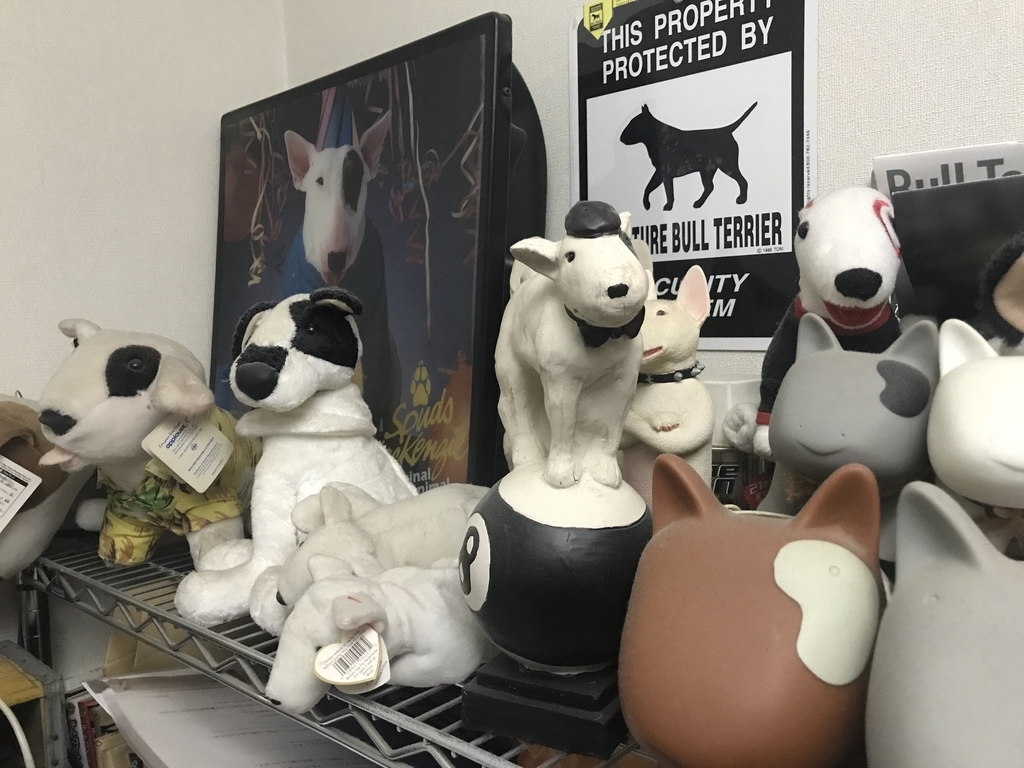 f:id:masami_takasu:20190106041237j:plain