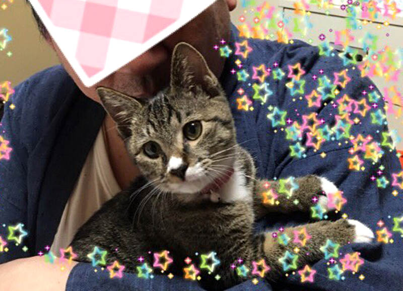 f:id:masami_takasu:20190107110731j:plain