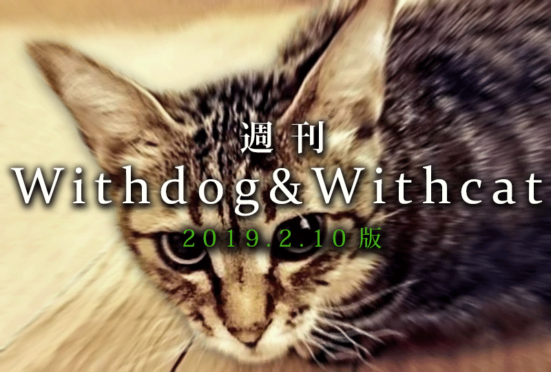 f:id:masami_takasu:20190113085236g:plain