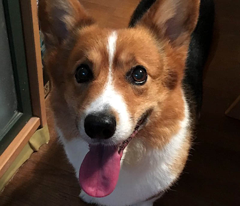 f:id:masami_takasu:20190114060917j:plain f:id:masami_takasu:20190114060917j:plain