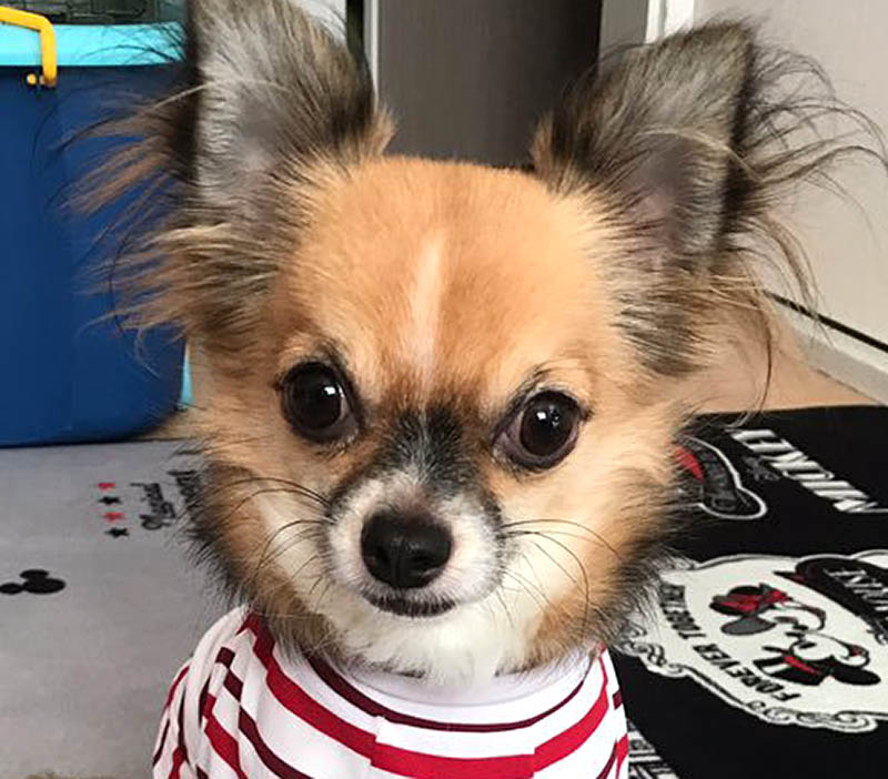 f:id:masami_takasu:20190114101931j:plain f:id:masami_takasu:20190114101931j:plain