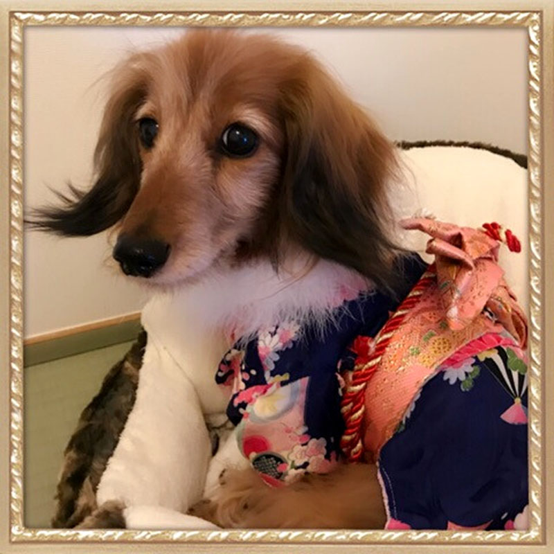 f:id:masami_takasu:20190118022327j:plain f:id:masami_takasu:20190118022327j:plain