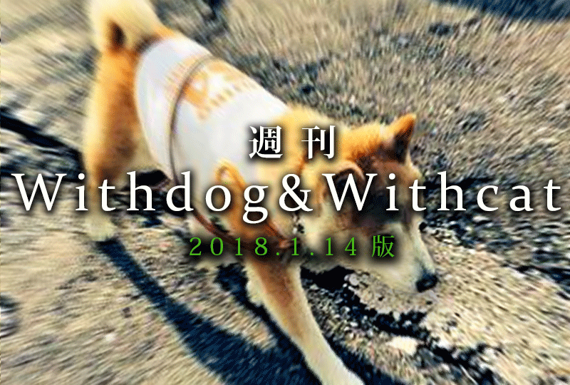 f:id:masami_takasu:20190120075630g:plain