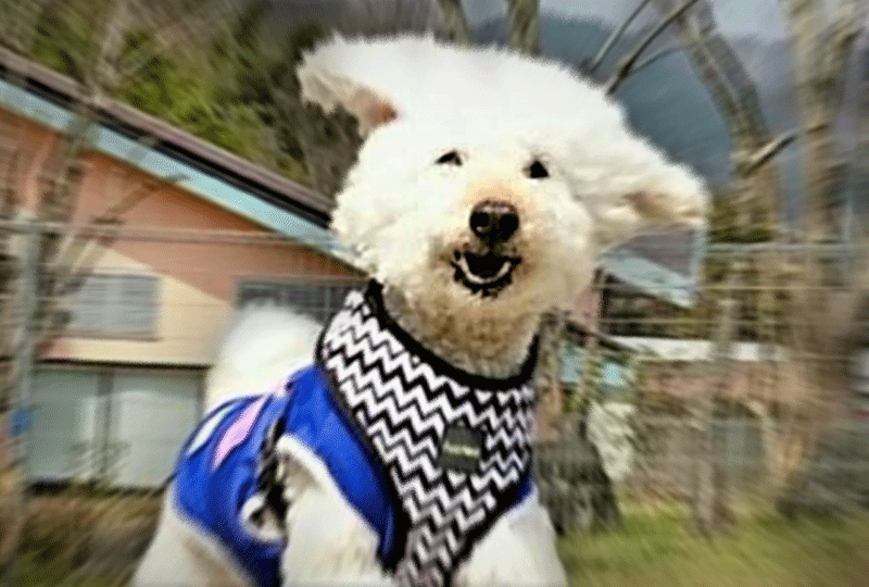 f:id:masami_takasu:20190120080051g:plain