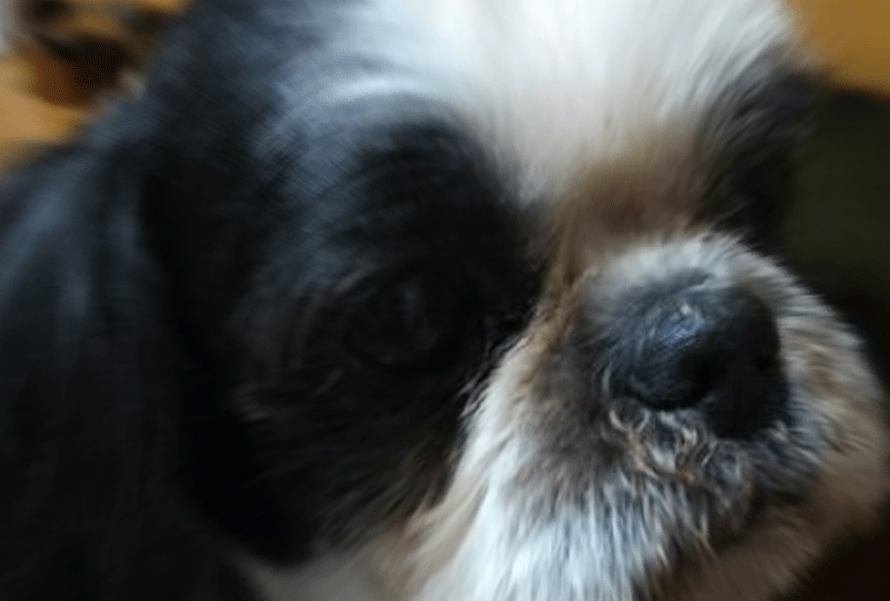 f:id:masami_takasu:20190120080401g:plain