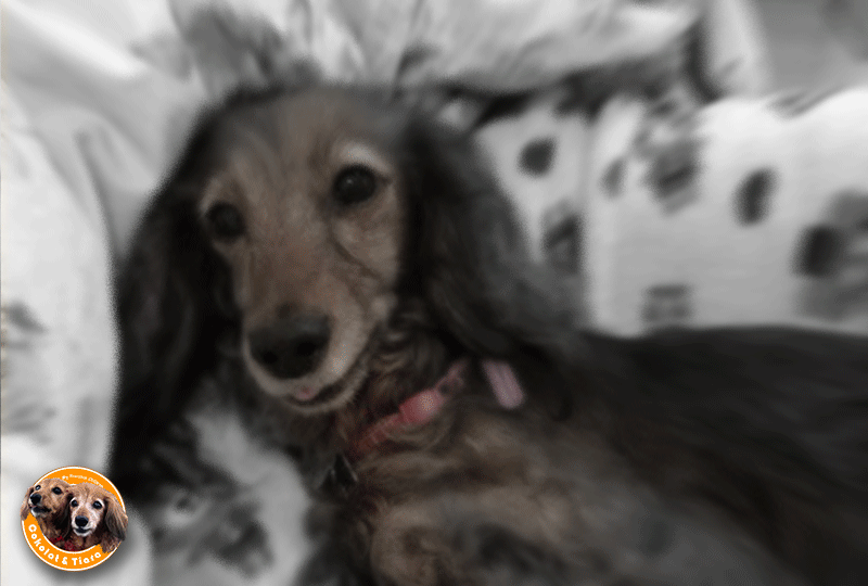 f:id:masami_takasu:20190120082132g:plain