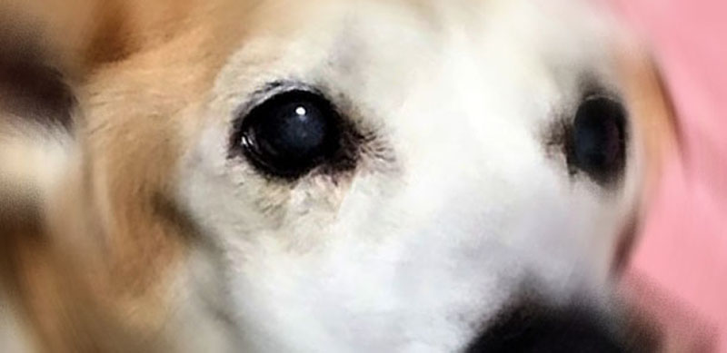 f:id:masami_takasu:20190120152945j:plain