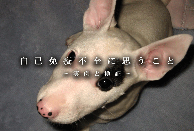 f:id:masami_takasu:20190122155521g:plain 自己免疫不全に思うこと