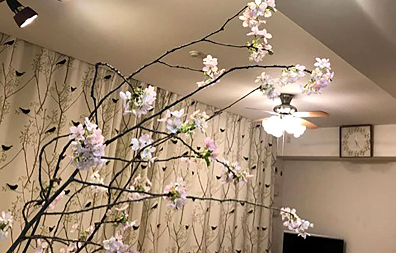 f:id:masami_takasu:20190123133755j:plain