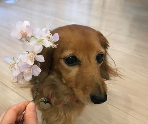 f:id:masami_takasu:20190123134217j:plain