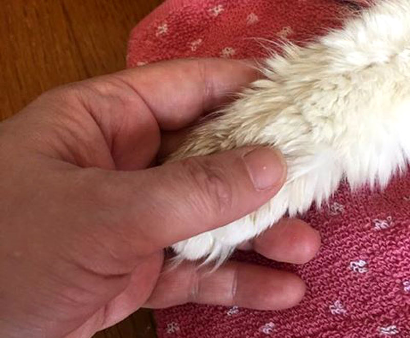 f:id:masami_takasu:20190126125420j:plain