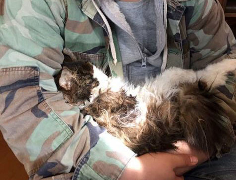 f:id:masami_takasu:20190126130806j:plain