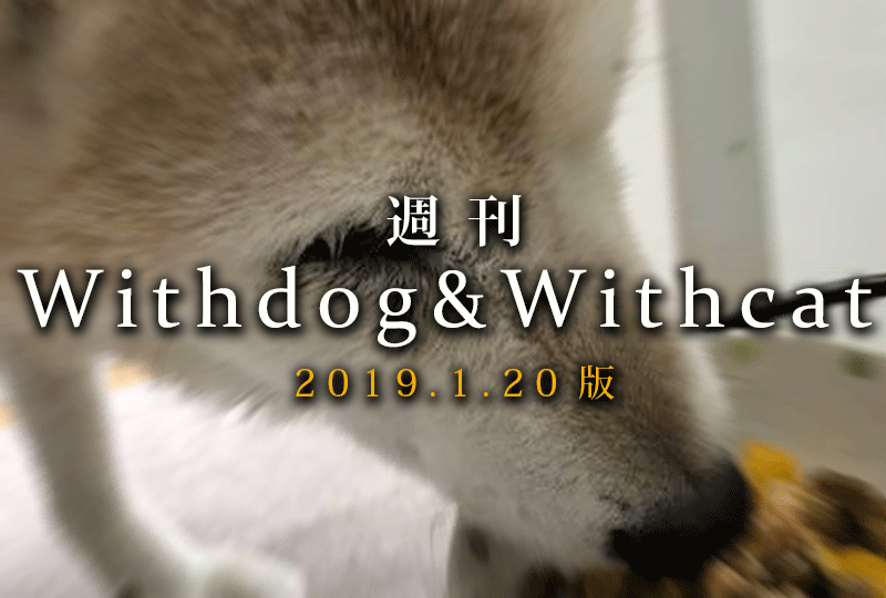 f:id:masami_takasu:20190127074352g:plain