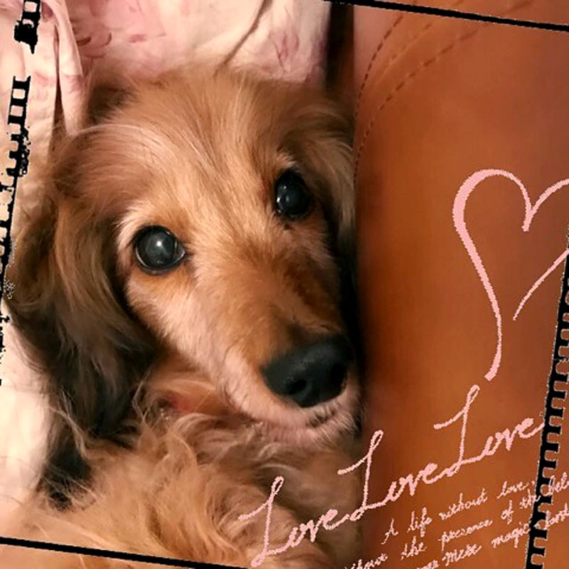 f:id:masami_takasu:20190130115031j:plain f:id:masami_takasu:20190130115031j:plain