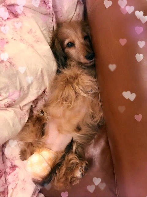 f:id:masami_takasu:20190130120259j:plain