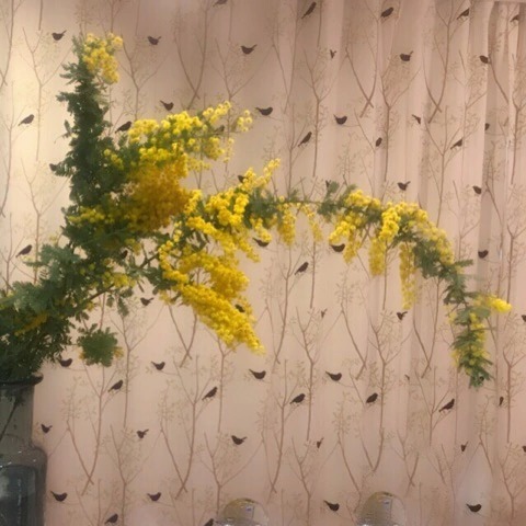 f:id:masami_takasu:20190130132545j:plain