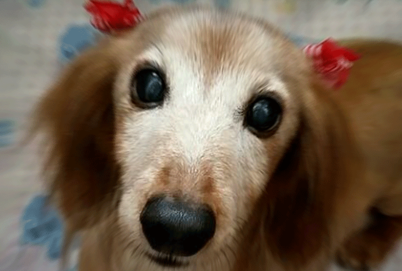 f:id:masami_takasu:20190202181415g:plain