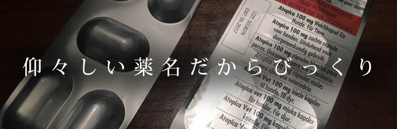 f:id:masami_takasu:20190205154209j:plain