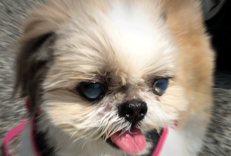 f:id:masami_takasu:20190205230311g:plain