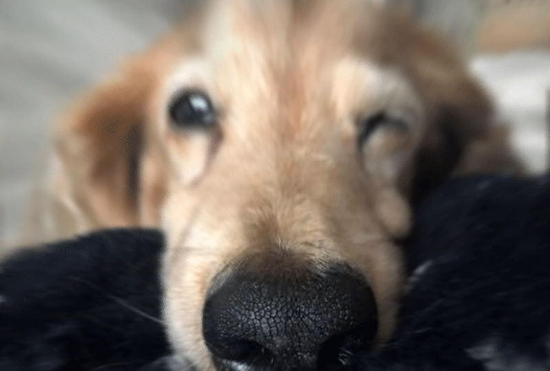 f:id:masami_takasu:20190210011654g:plain