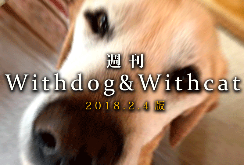 f:id:masami_takasu:20190210012305g:plain