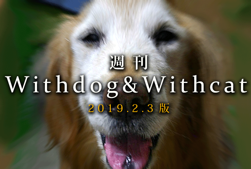 f:id:masami_takasu:20190210012542g:plain