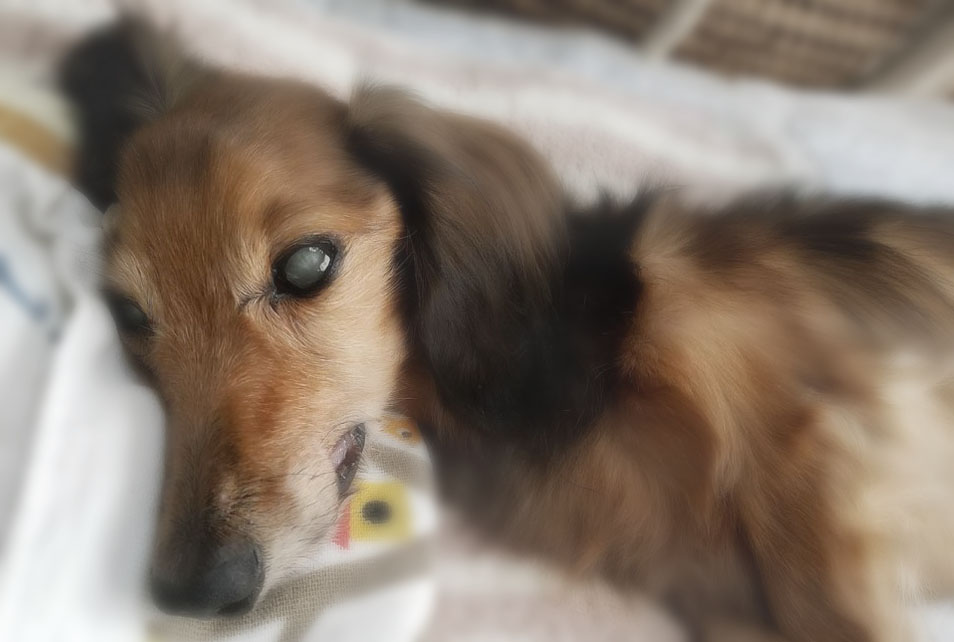f:id:masami_takasu:20190210154837j:plain