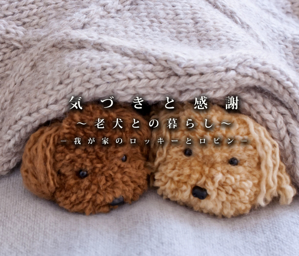 f:id:masami_takasu:20190210165457j:plain 老犬との暮らし