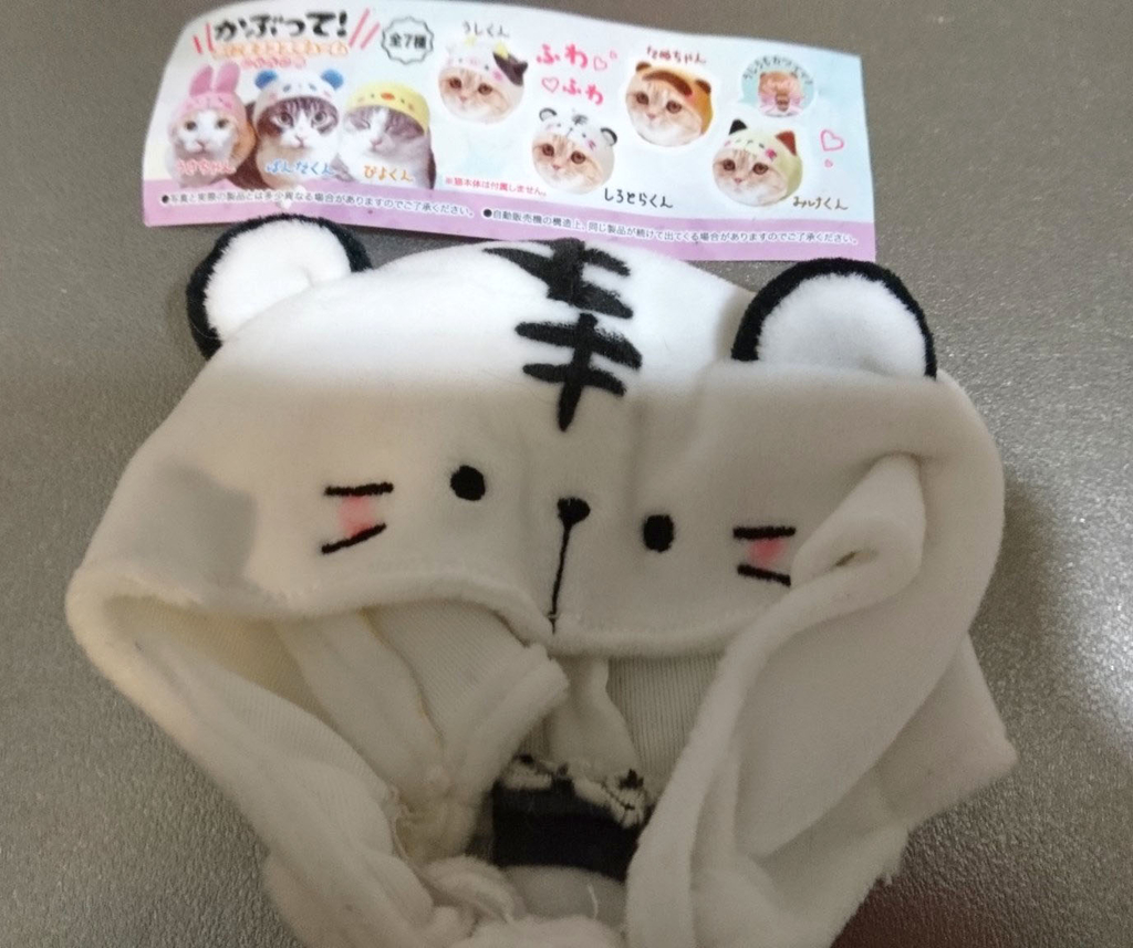 f:id:masami_takasu:20190213114508j:plain