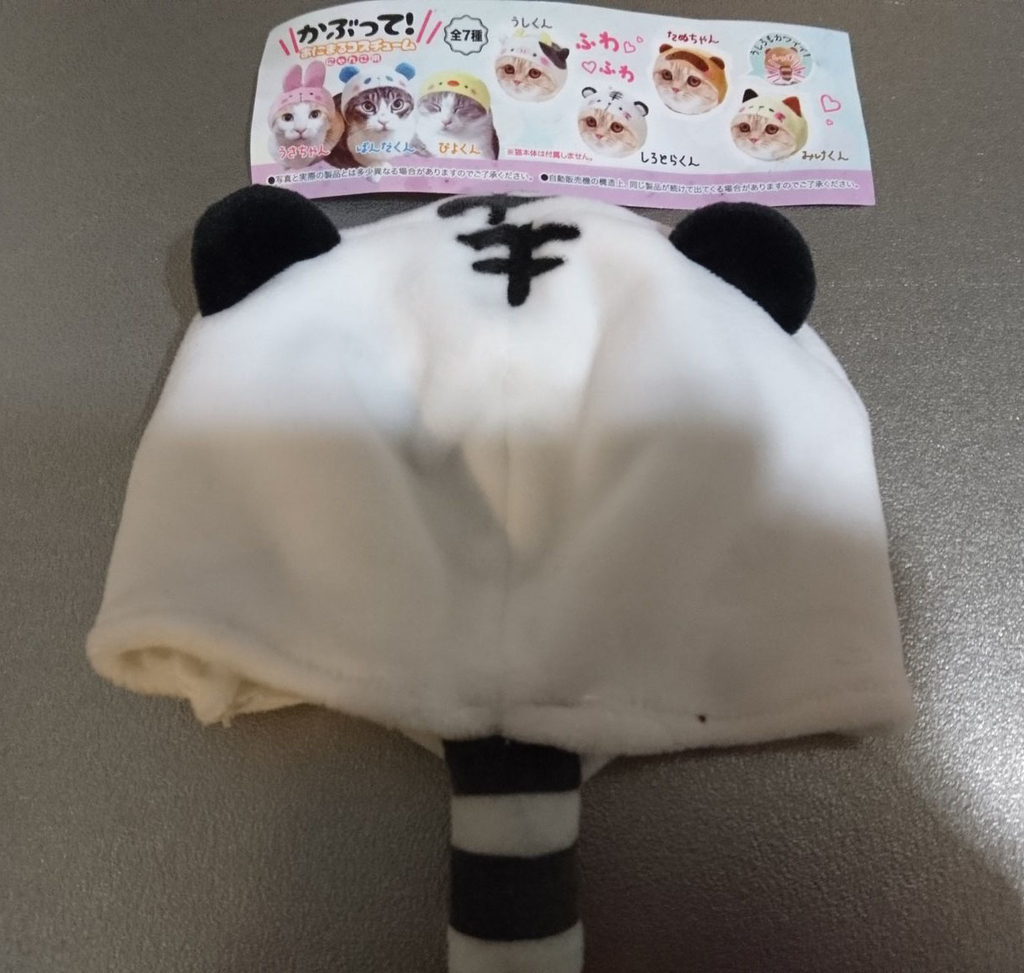 f:id:masami_takasu:20190213114613j:plain