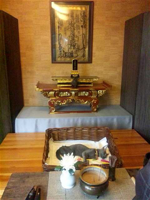 f:id:masami_takasu:20190214121136j:plain f:id:masami_takasu:20190214121136j:plain
