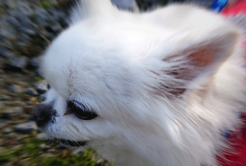 f:id:masami_takasu:20190224174336g:plain