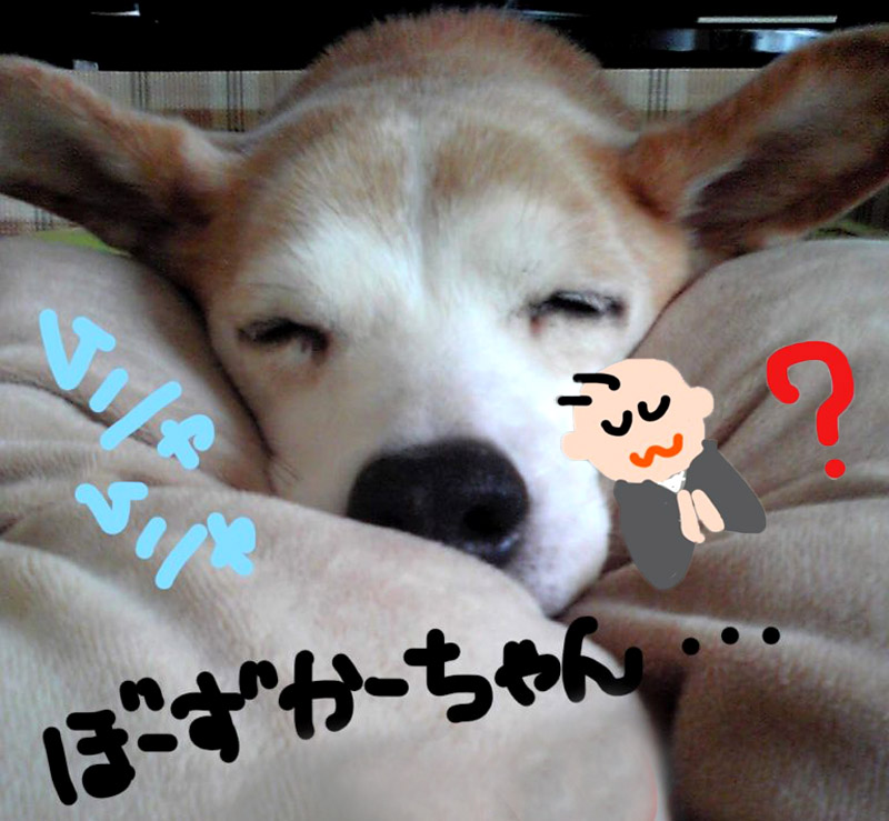 f:id:masami_takasu:20190301150712j:plain f:id:masami_takasu:20190301150712j:plain