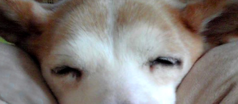 f:id:masami_takasu:20190301191931j:plain
