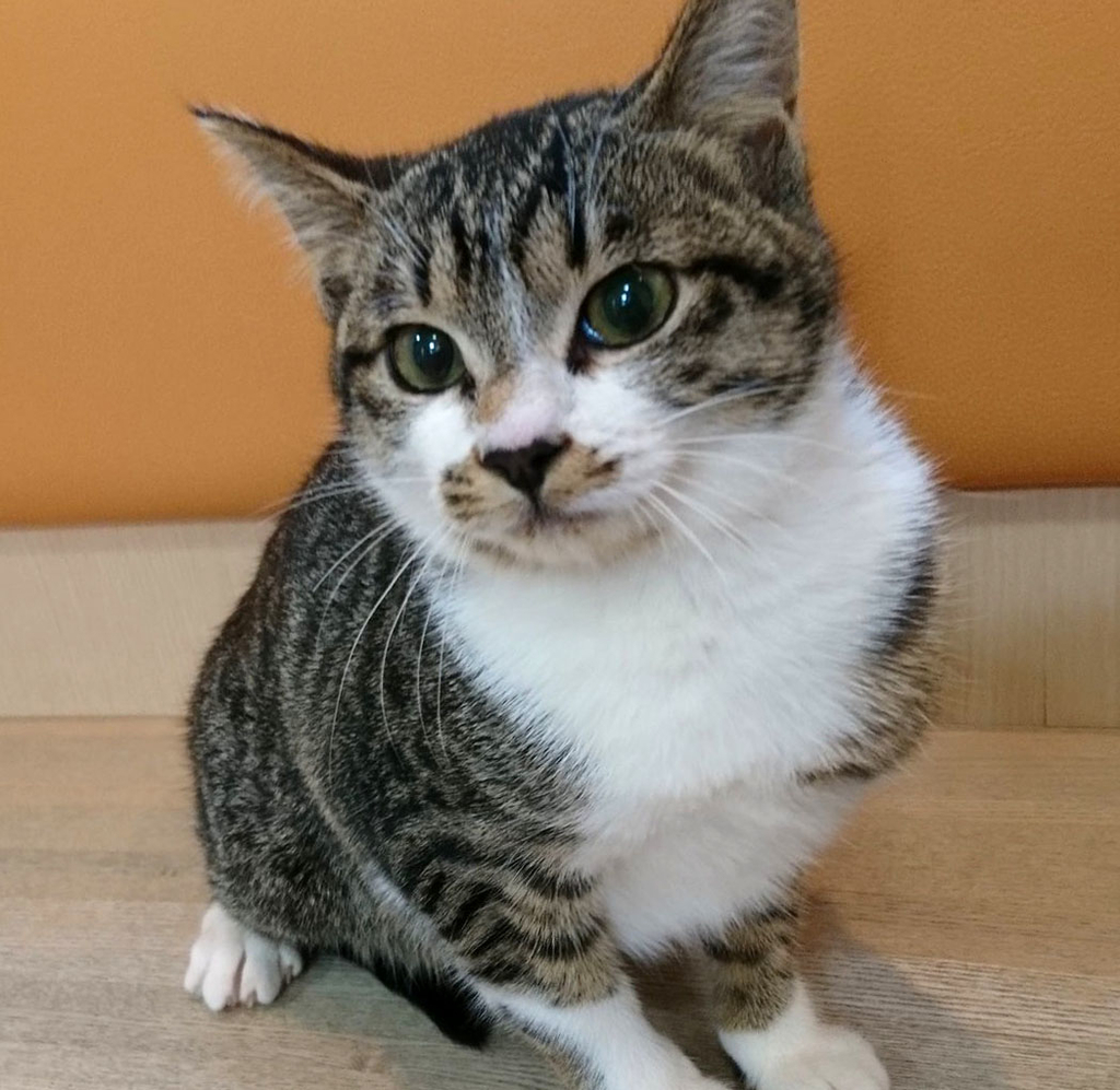 f:id:masami_takasu:20190302085131j:plain f:id:masami_takasu:20190302085131j:plain