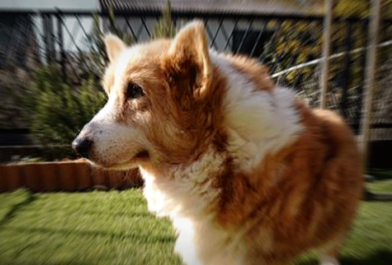 f:id:masami_takasu:20190303022730g:plain