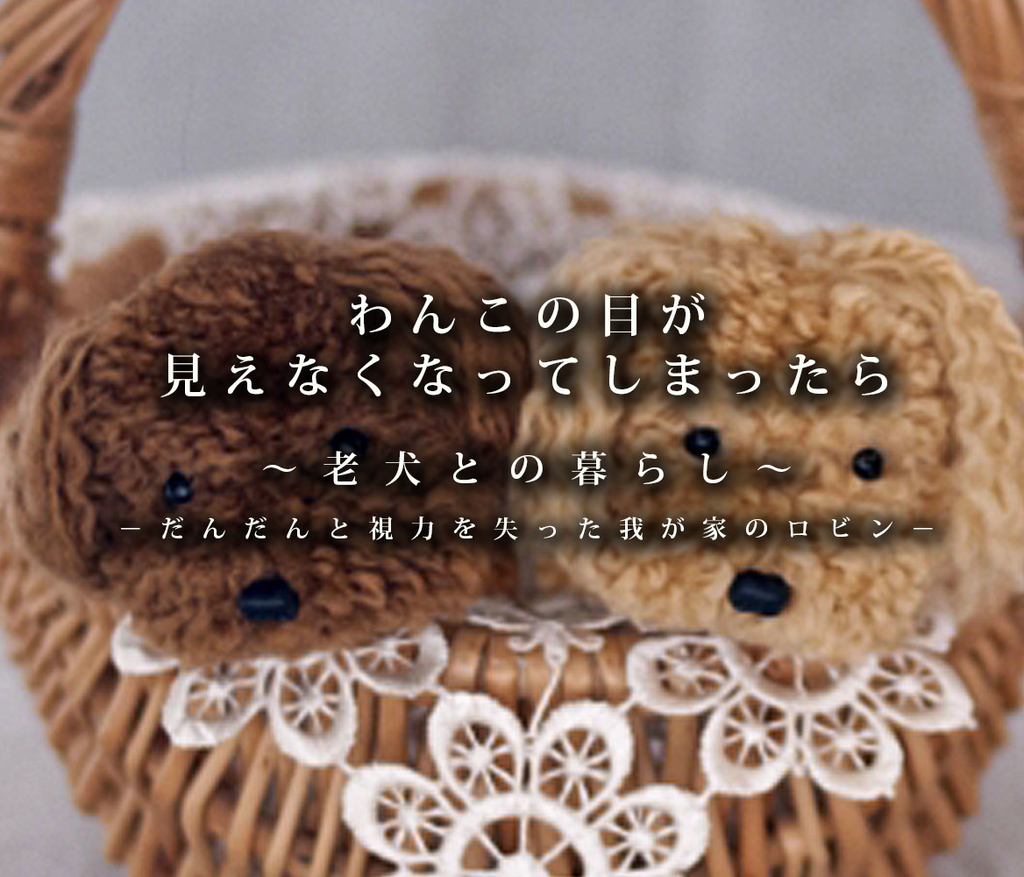 f:id:masami_takasu:20190303165305j:plain f:id:masami_takasu:20190303165305j:plain